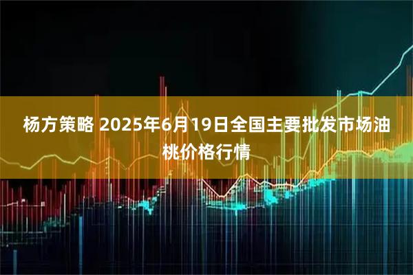 杨方策略 2025年6月19日全国主要批发市场油桃价格行情