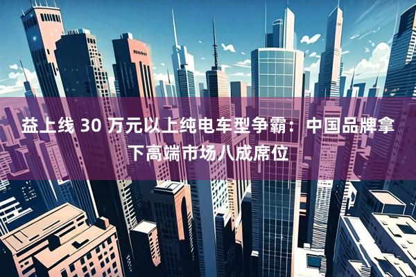 益上线 30 万元以上纯电车型争霸：中国品牌拿下高端市场八成席位