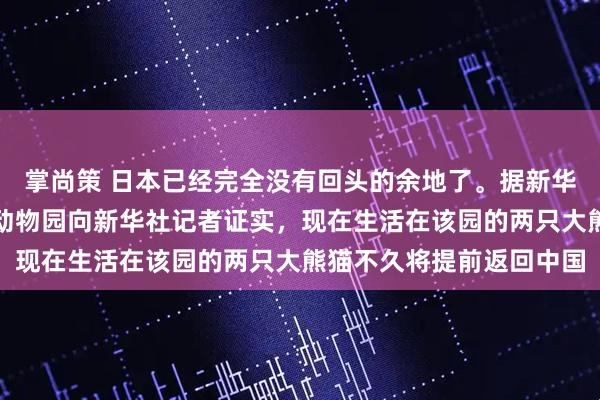 掌尚策 日本已经完全没有回头的余地了。据新华社报道：日本东京上野动物园向新华社记者证实，现在生活在该园的两只大熊猫不久将提前返回中国