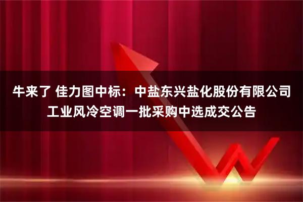 牛来了 佳力图中标：中盐东兴盐化股份有限公司工业风冷空调一批采购中选成交公告
